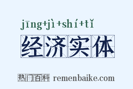 经济实体是什么意思的图片